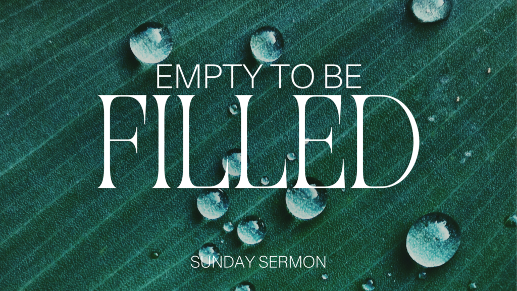 Empty to Be Filled: Week 5